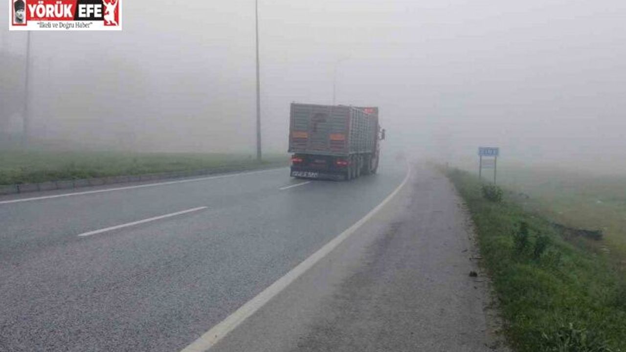 Yoğun sis Aydın-Çine Karayolu’nda sürücülere zor anlar yaşatıyor