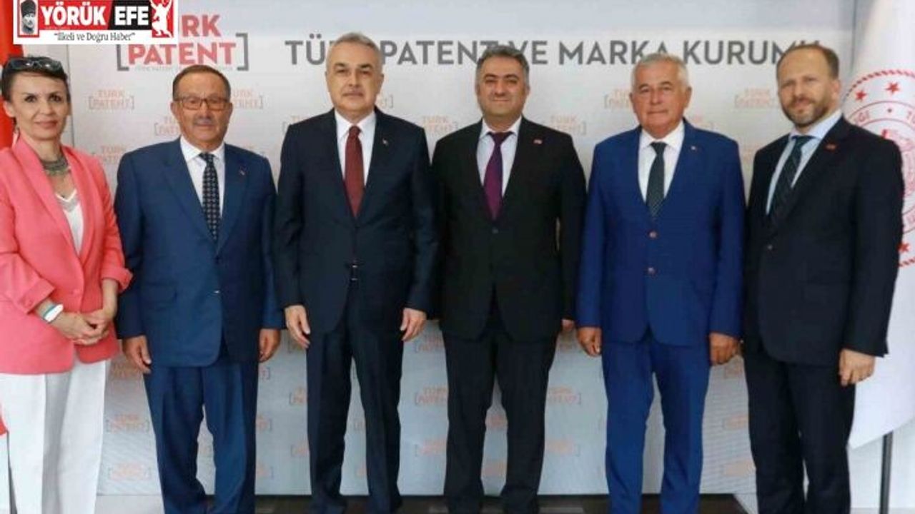 Aydın enginarı coğrafi işaret tesciline kavuşuyor