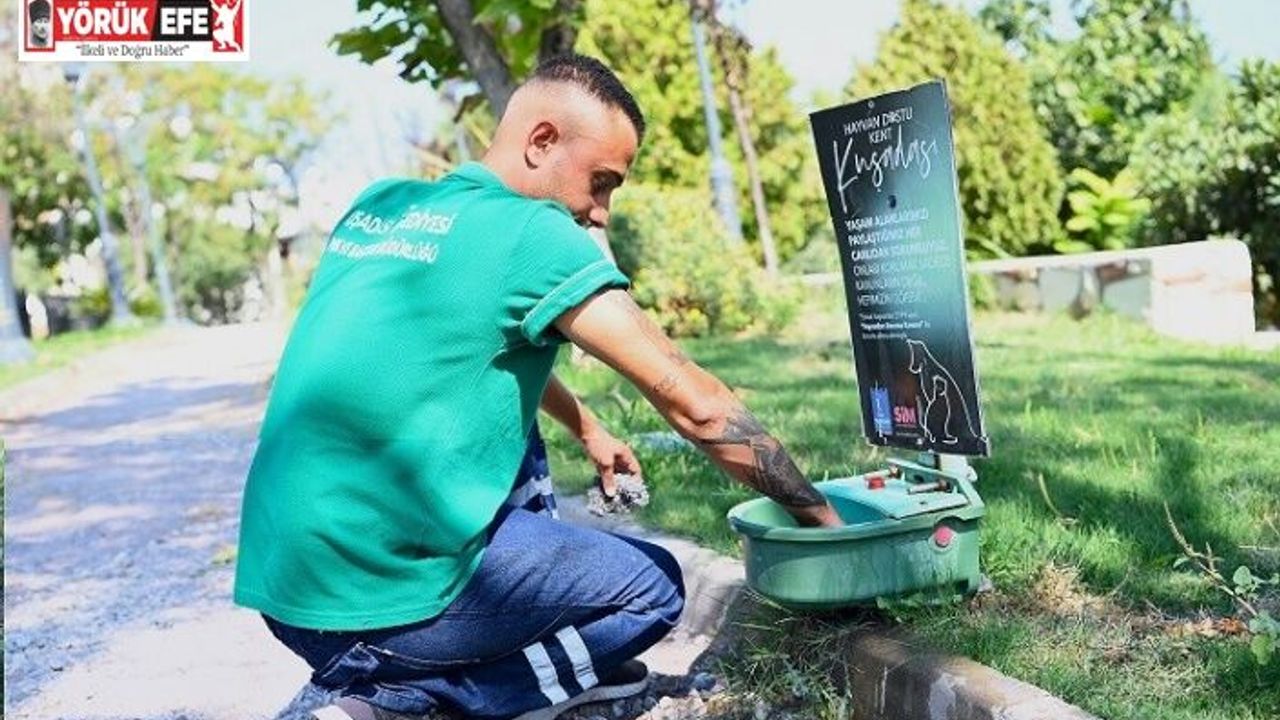 Kuşadası Belediyesi mevsim normalleri üzerinde seyrden sıcaklar nedeniyle sokak hayvanları için sulukların sayısını arttırdı