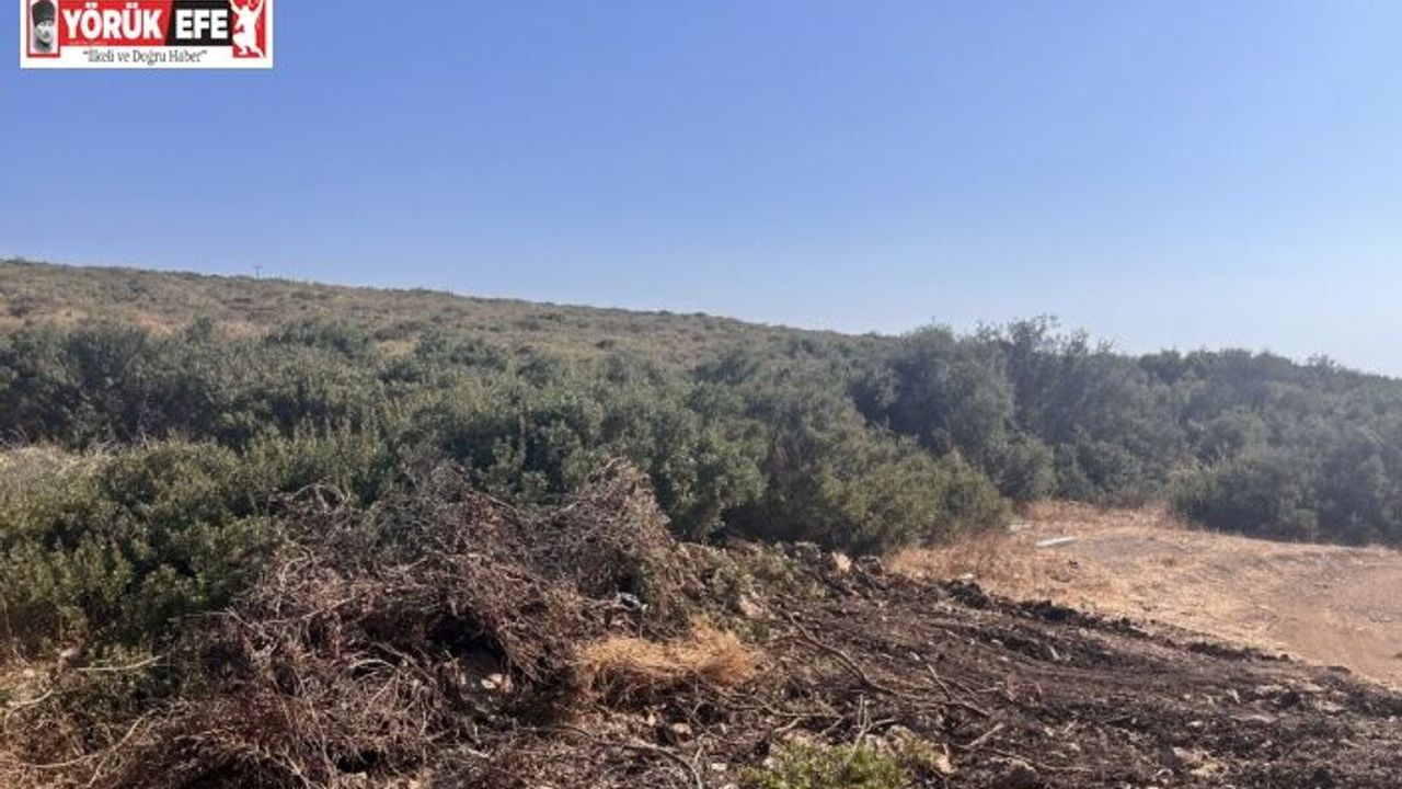 Didim’de hazine arazisinde izinsiz yer açan şahıs jandarmaya takıldı