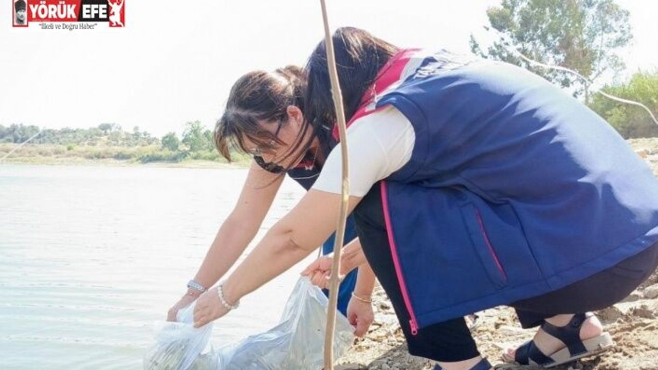 Aydın’da 1 milyon 215 bin yavru sazan balığı göletlere bırakıldı