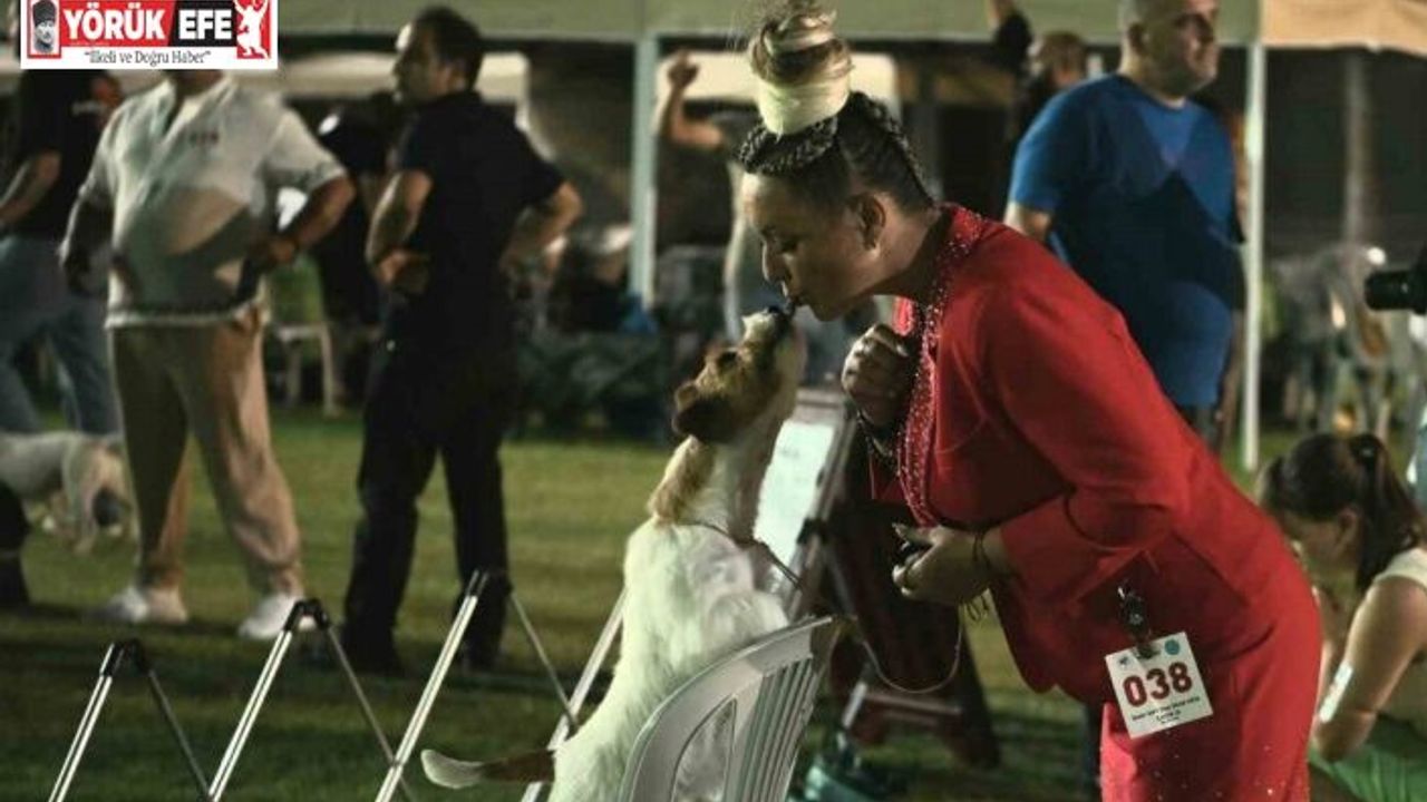 Kuşadası’nda renkli köpek şöleni: ’International Dog Show’ sona erdi