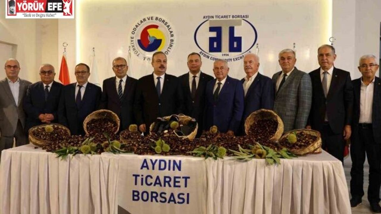 Aydın’da sezonun ilk kestanesi kilosu 500 TL’den alındı