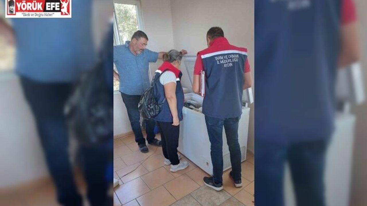 Söke’de 1 ayda 173 gıda işletmesi denetlendi