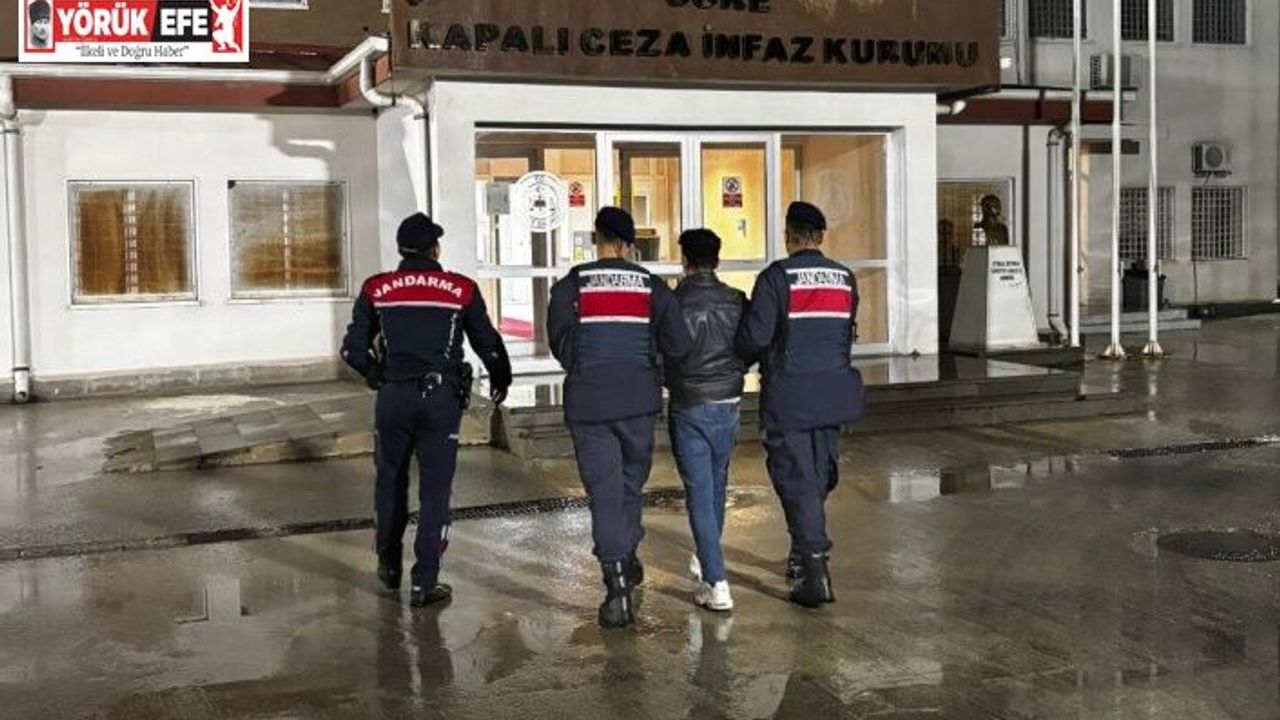 Düzensiz göçmenlerle yakalanan organizatör tutuklandı