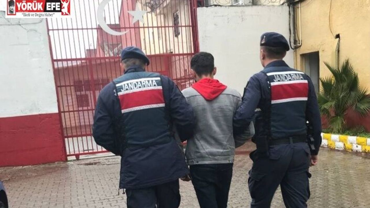 İncirliova’da 22 çuval zeytin çalan şahıs yakalandı