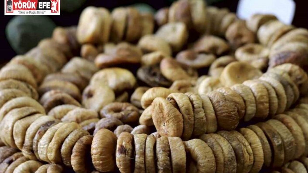 Aydın’ın milli meyvesi kuru incirde 4 aylık ihracat rakamı 194 milyona ulaştı