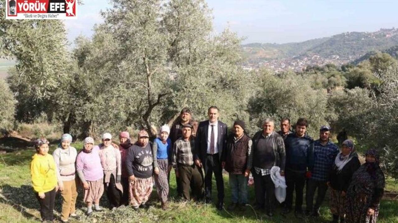 Başkan Arıcı zeytin hasadında üreticiler ve işçiler ile bir araya geldi