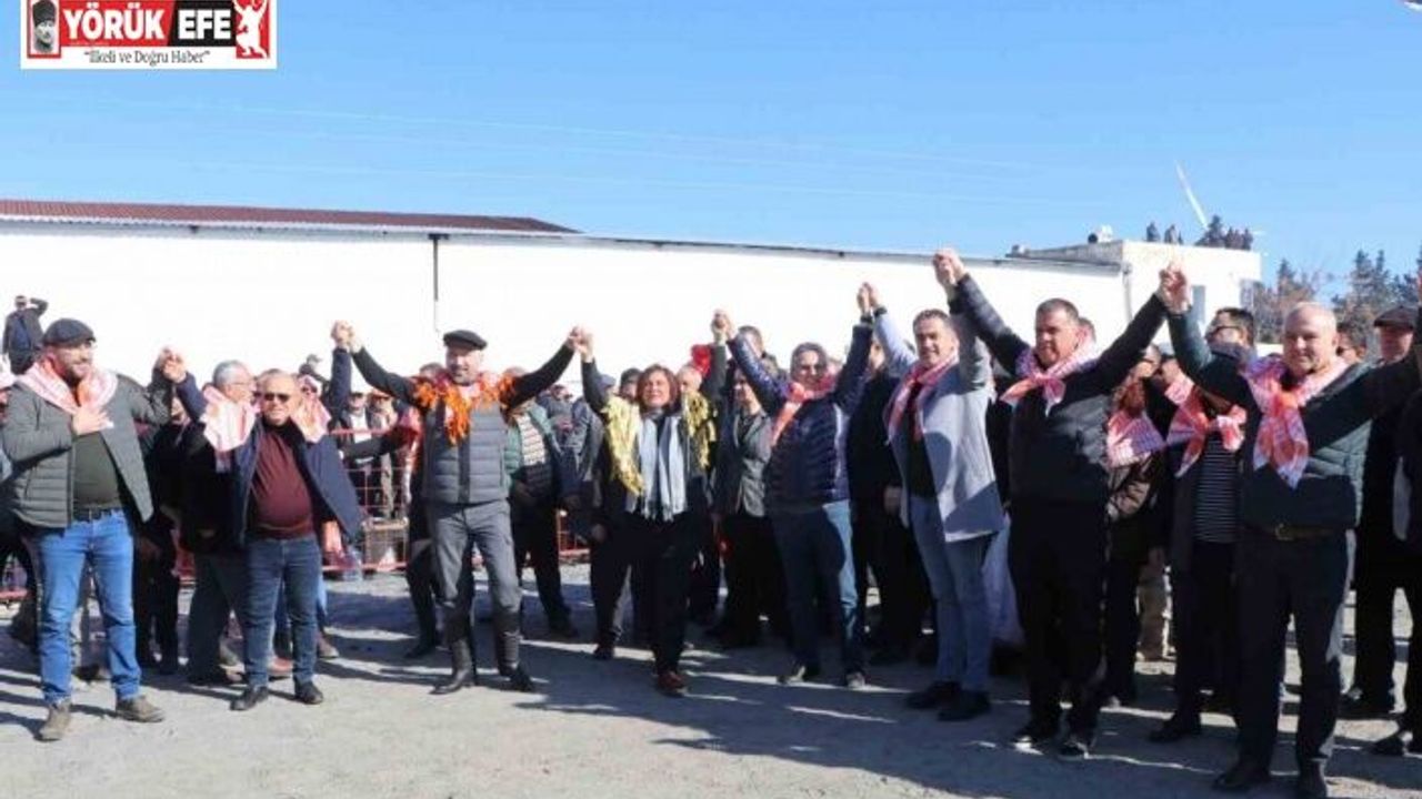 Söke’de Deve Güreşi Festivali renkli geçti