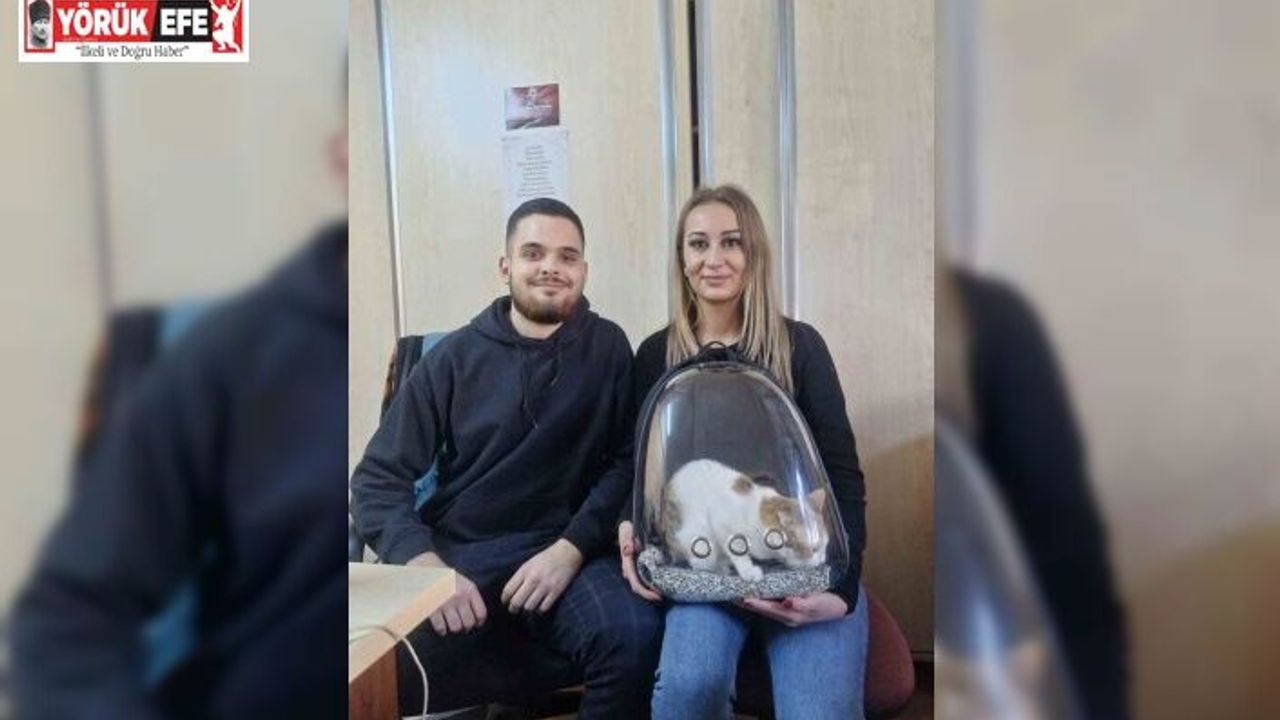 Söke’de evcil hayvanlar kayıt altına alınıyor