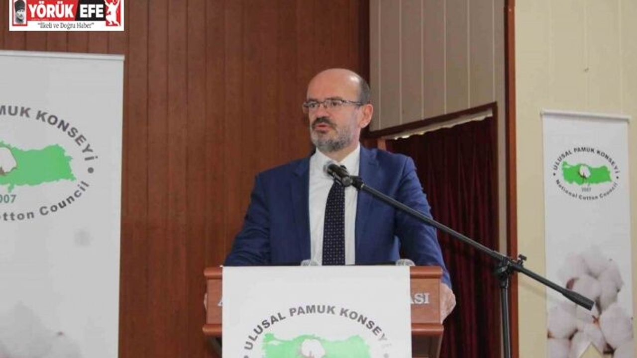 Bu yıl pamuk toprağa ekilmeden desteklemeler açıklandı