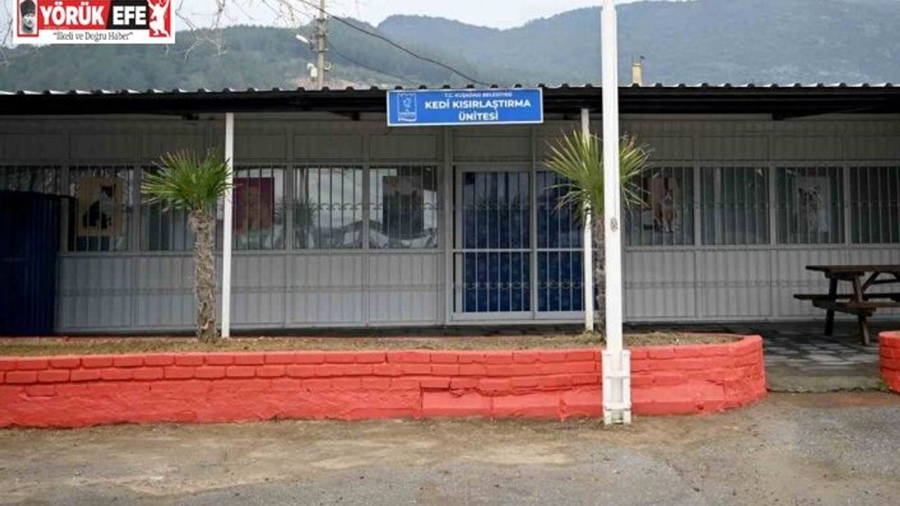 Kuşadası’nda Davutlar Kedi Kısırlaştırma Ünitesi için geri sayım başladı