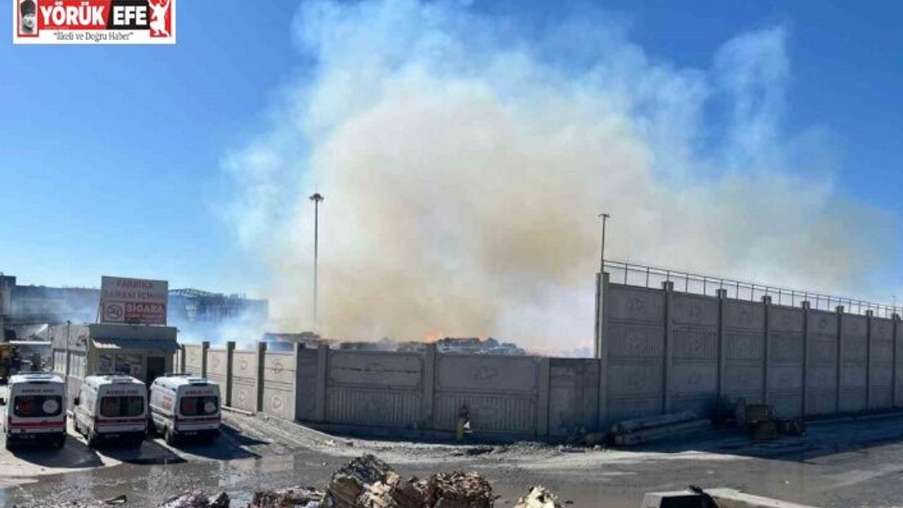 Söke Kipaş’taki yangını söndürme çalışmaları devam ediyor