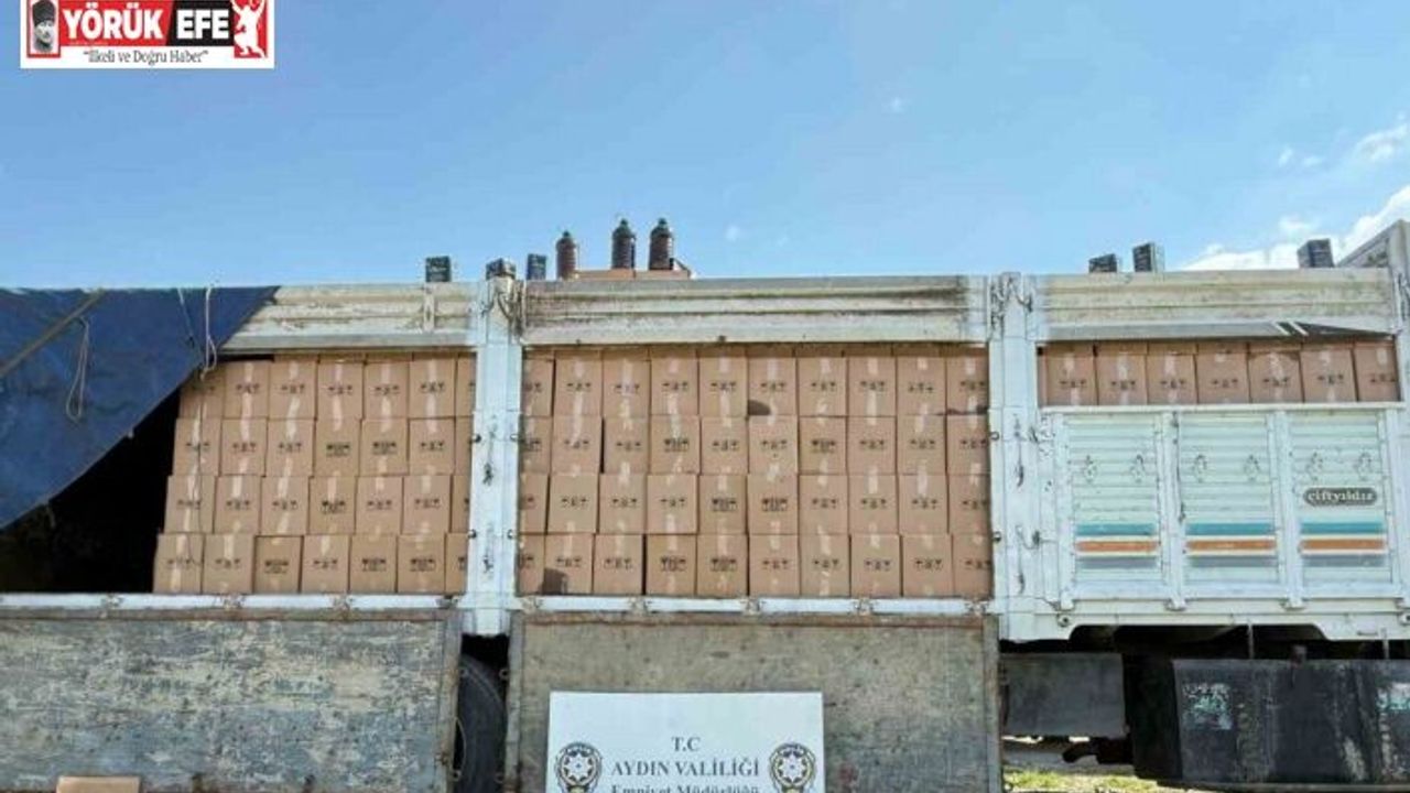 Aydın’da tağşiş yağ operasyonu