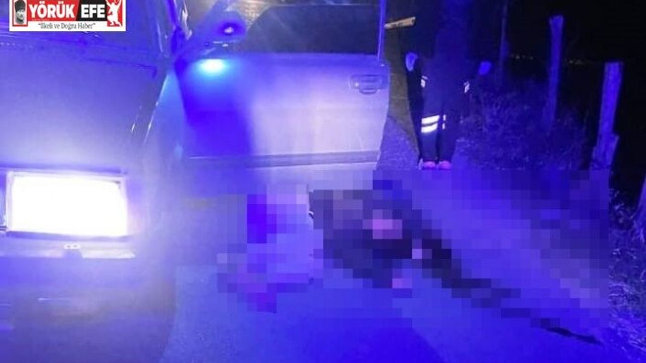 Bozdoğan’da bir kadın başından silahla vurulmuş halde ölü bulundu