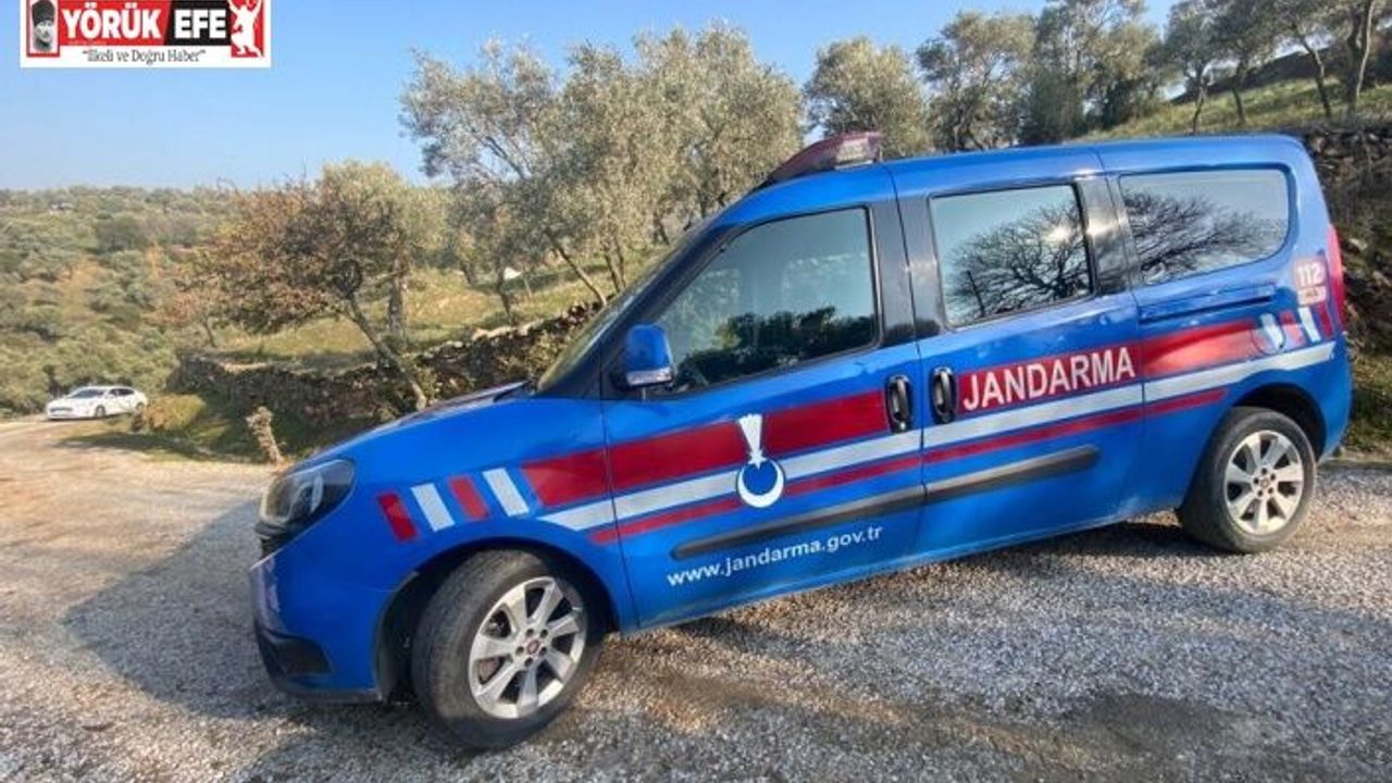 Uçuruma yuvarlanan traktörün altında kalan şahıs hayatını kaybetti