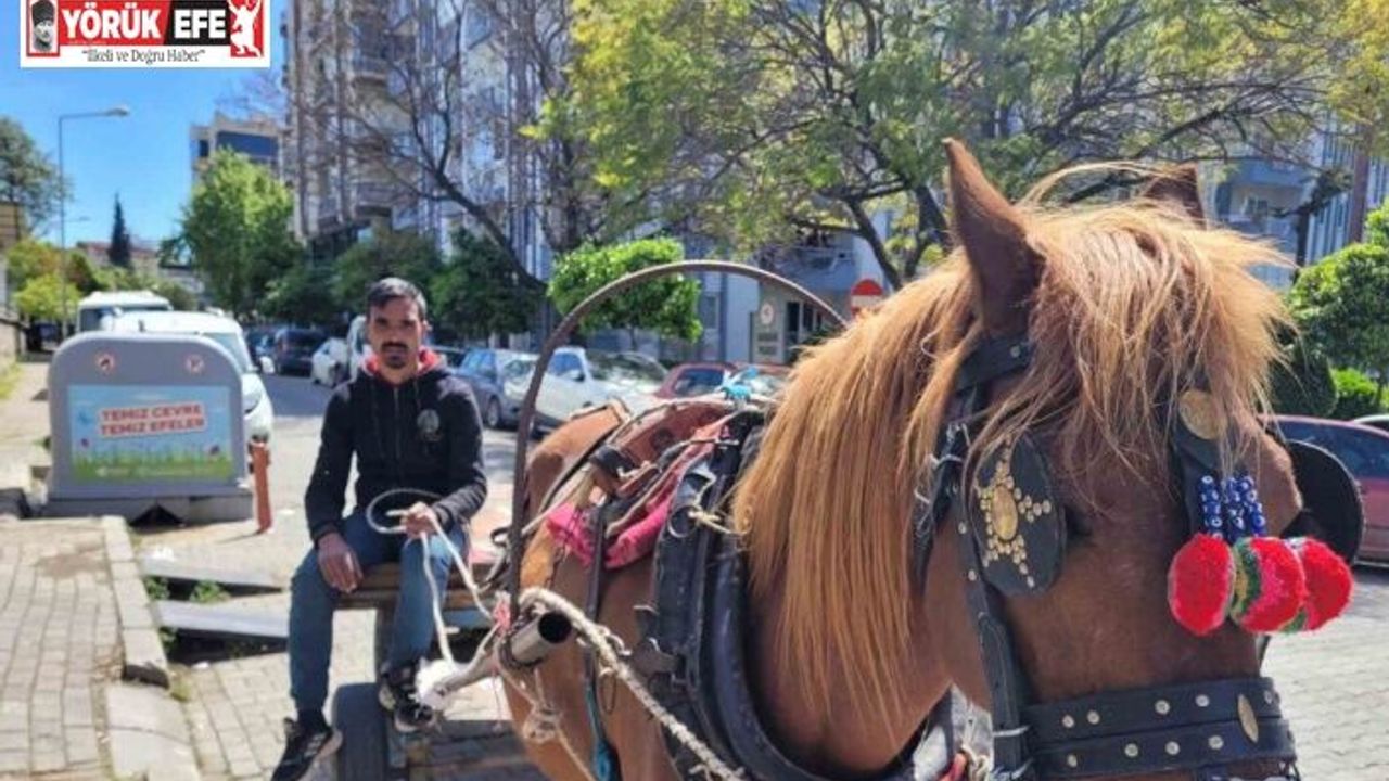 Aydın’ın son at arabacısı, evinin ve 5 çocuğunun iaşesini atıyla karşılıyor