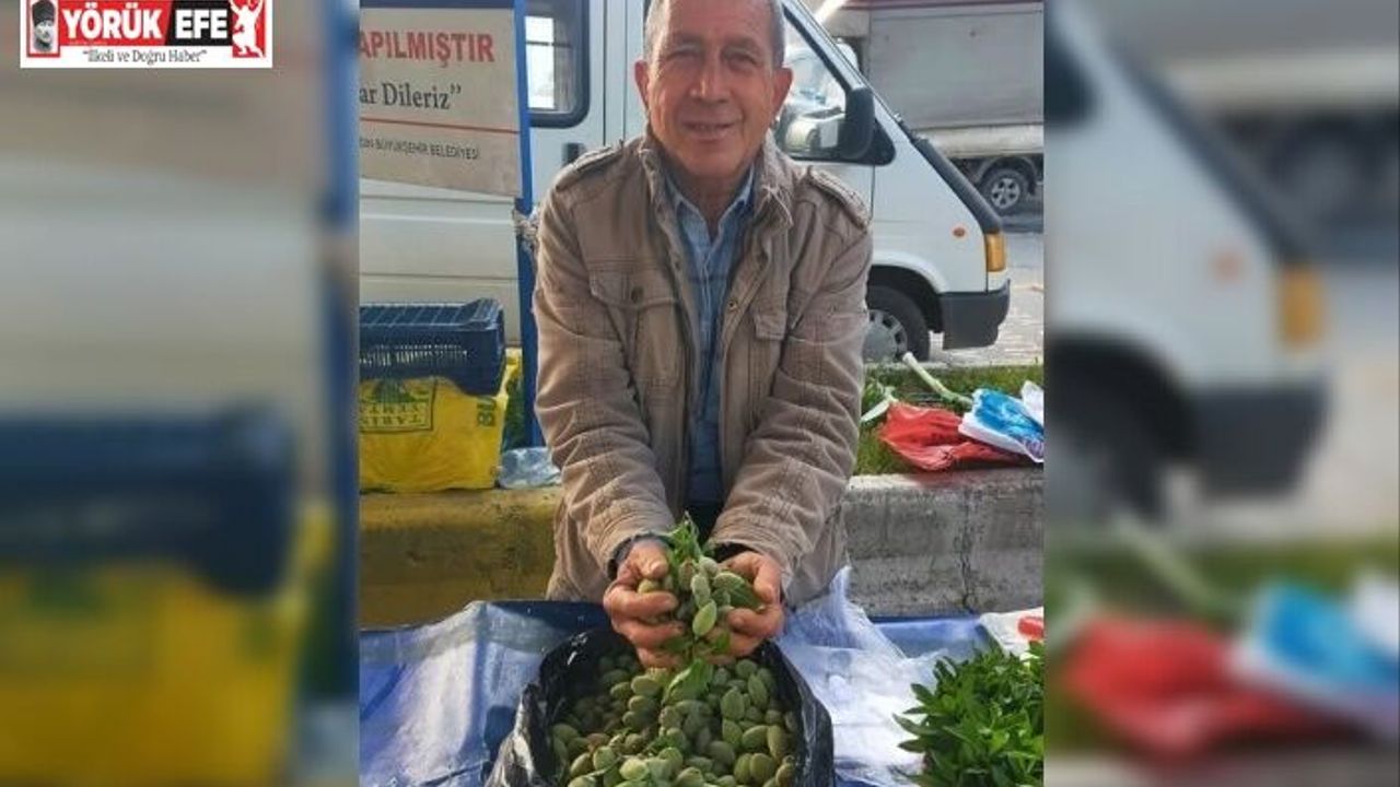 Çağla, Aydın’daki tezgahlarda yerini aldı: Kilosu 250 lira