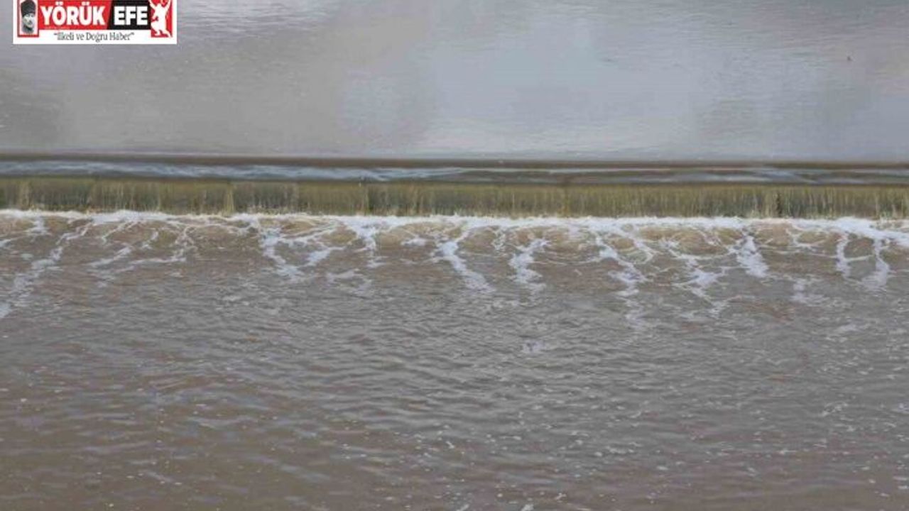 Çine çayı eski günlerine kavuşuyor, yağışlar çayın debisini arttırdı