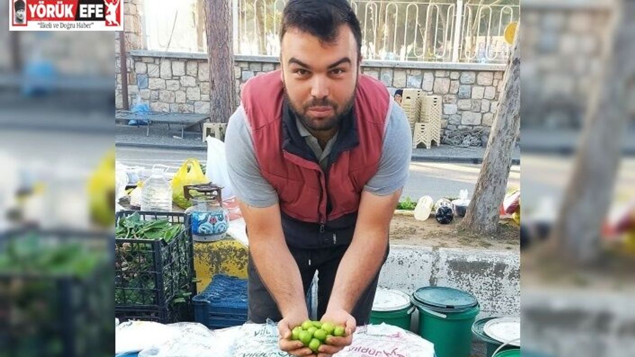 Vazgeçilmez yaz meyvesi erik tezgahlarda yerini aldı