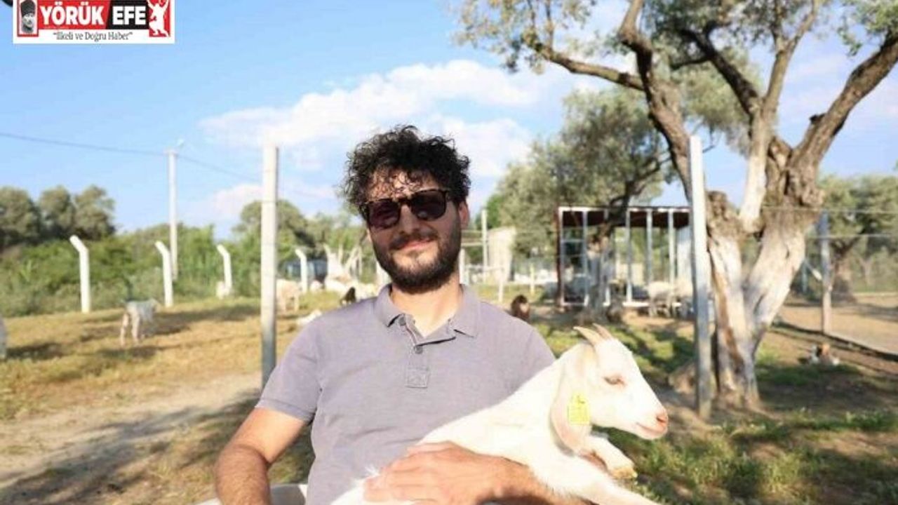 Çocuğuna taze süt içirmek için keçi aldı, kendisini çobanlık mesleğinin içinde buldu