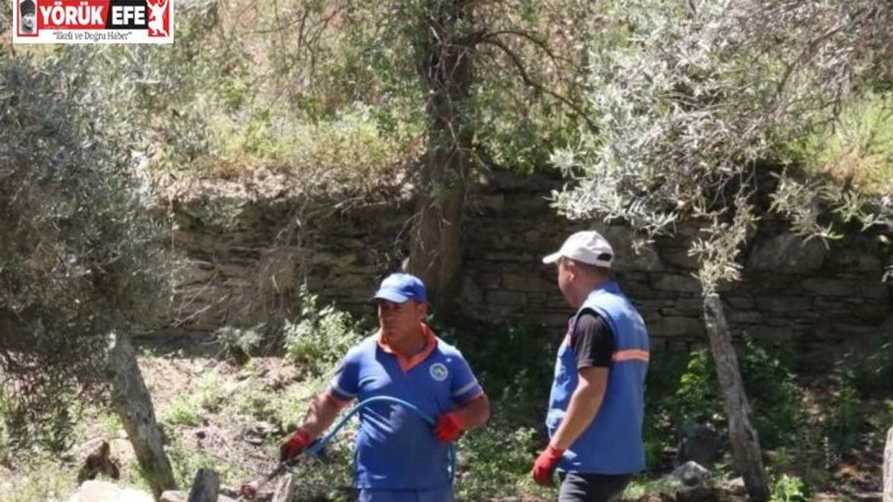 Direcik Mahallesi’nde belediye ekipleri iş başı yaptı