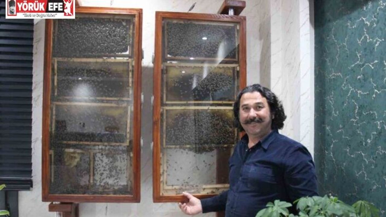 Fabrikasında 5 bin işçi ile ’bal’ gibi çalışıyor