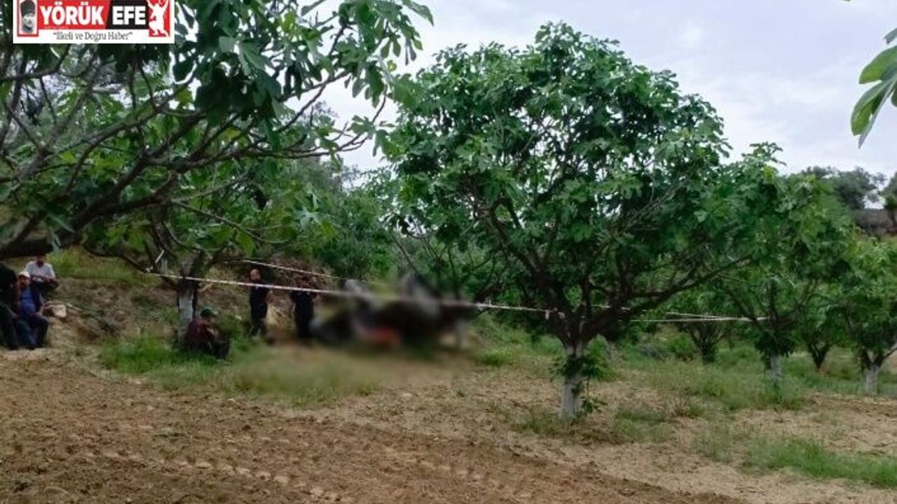 Germencik’te devrilen traktörün altında kalan şahıs hayatını kaybetti