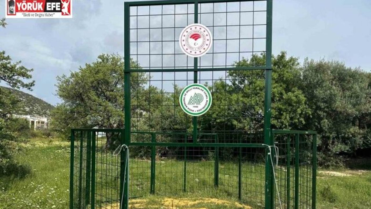 Kuşadası’nda yaban domuzlarına karşı termal dronlu mücadele