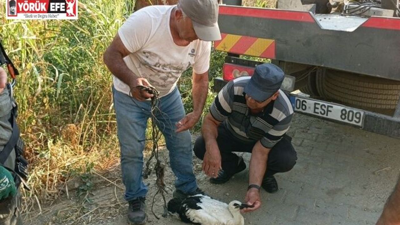 Ayağına ip dolanan leyleği vatandaşların dikkati kurtardı