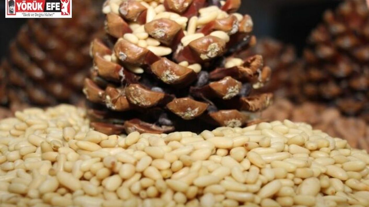 Aydın Çam Fıstığı, Avrupa Birliği tesciliyle taçlandı