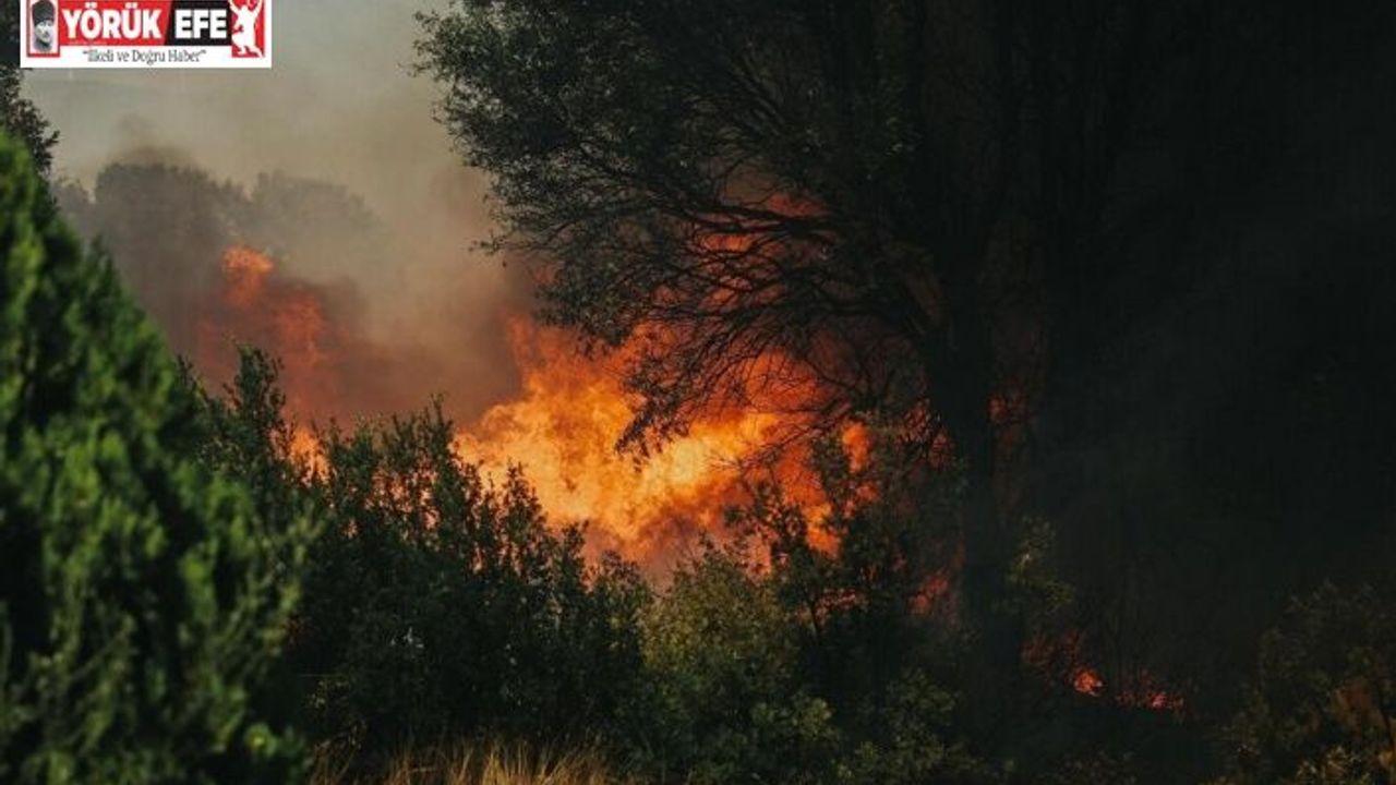 Aydın’da çiftçilere yangın uyarısı: Hasatta tedbirli olun