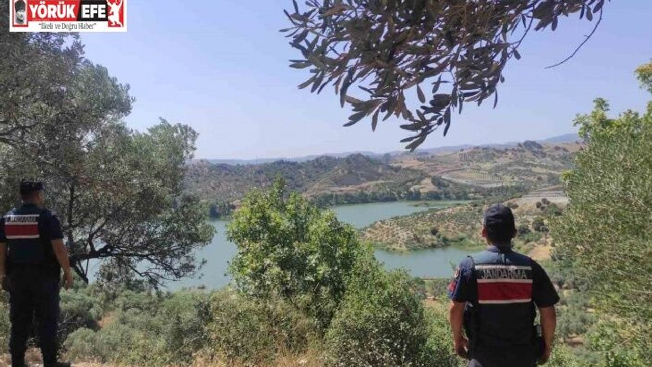 Aydın’da orman yangınlarına karşı sıkı tedbir