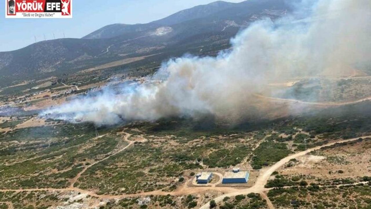 Aydın’da son 48 saatte 93 yangın çıktı, ateş savaşçıları zamanla yarıştı