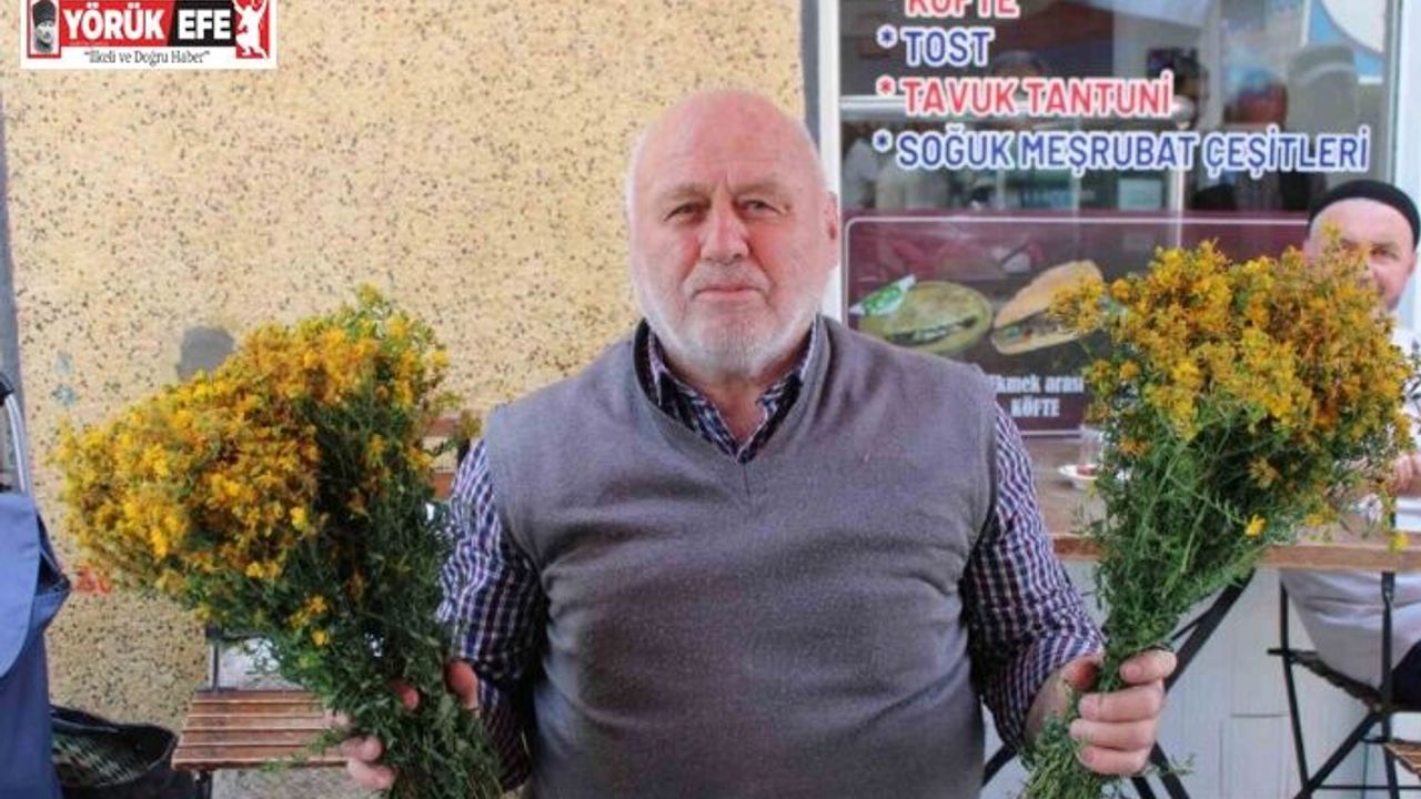 Bu çiçek hediye için değil sağlık için alınıyor