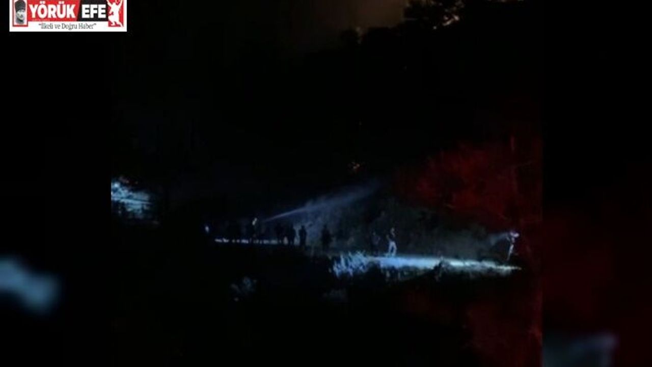 Nazilli’deki orman yangını kontrol altına alındı