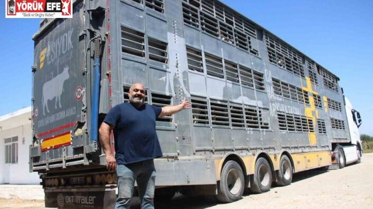 Türk mühendislerin tasarladığı bu araçla, canlı hayvan naklinde 5 yıldızlı konfor dönemi başladı