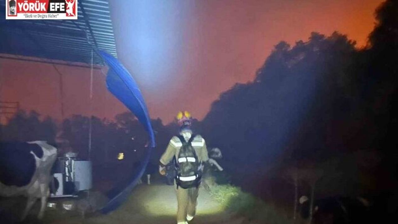 AKUT Kuşadası, İzmir’deki orman yangınlarına müdahale çalışmalarına destek veriyor