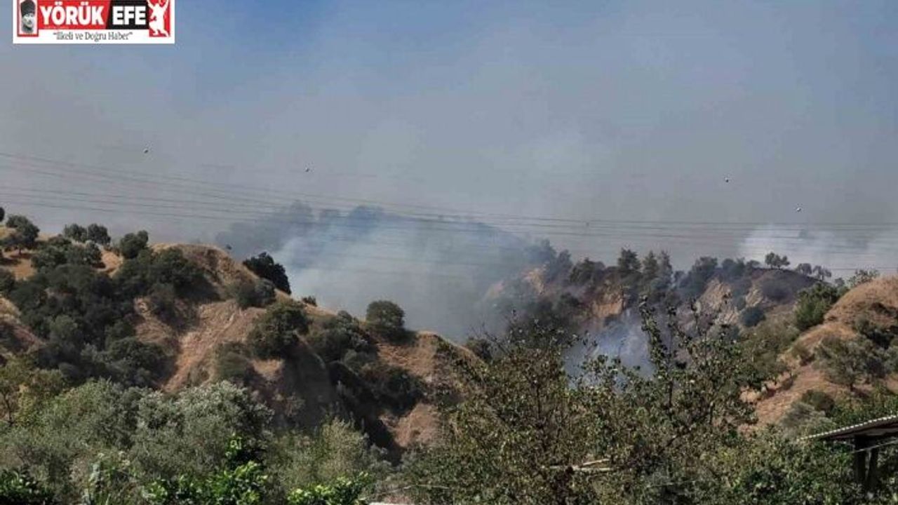 Aydın Valisi Canbolat: "Ekipler çevreyi sardı, kısa sürede kontrol altına alacağız"