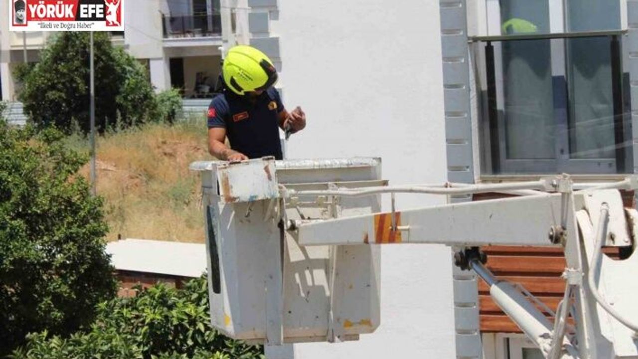 Aydın’da balkonda sıkışan kumruyu vatandaşın dikkati kurtardı