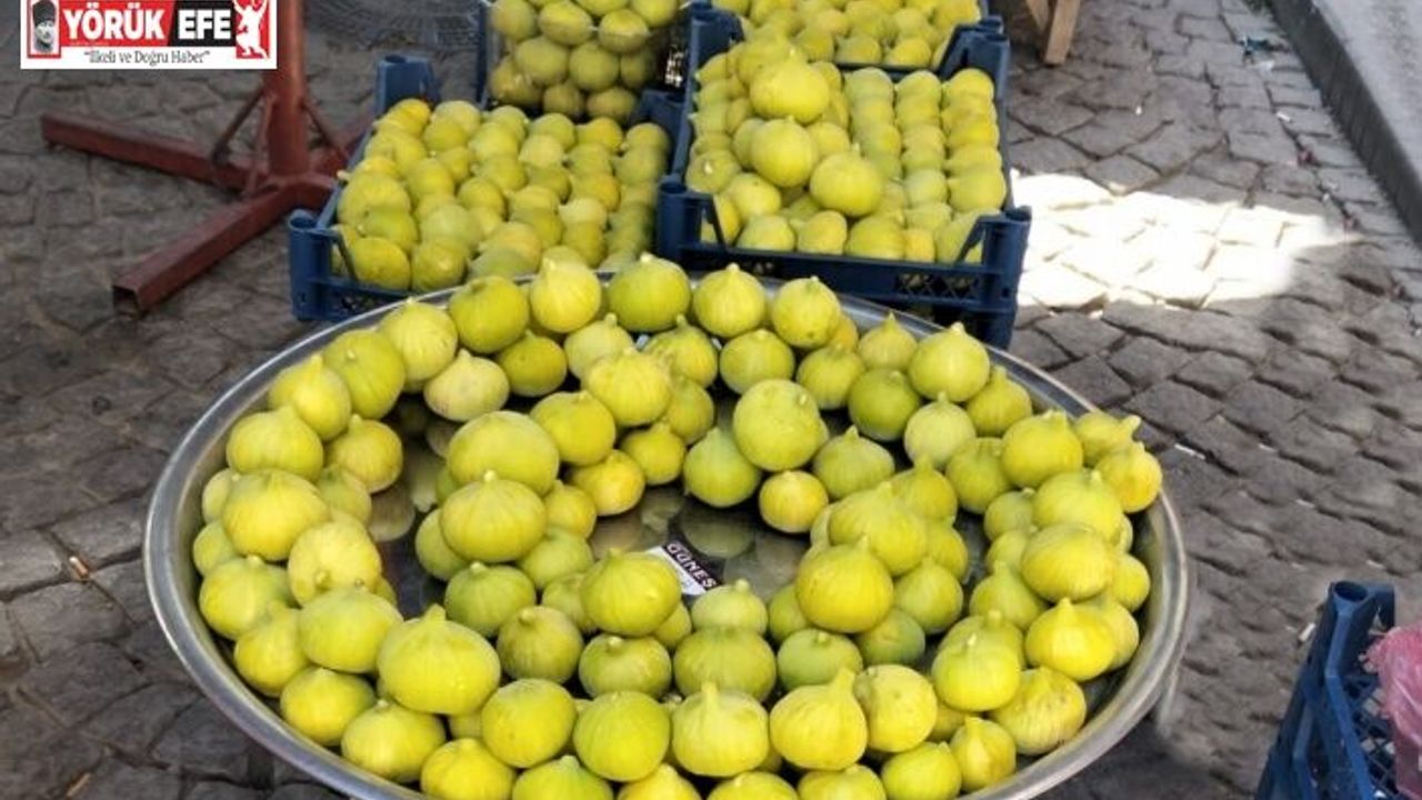 Aydın’ın inciri pazar tezgahlarında 250 liradan satışa sunuldu