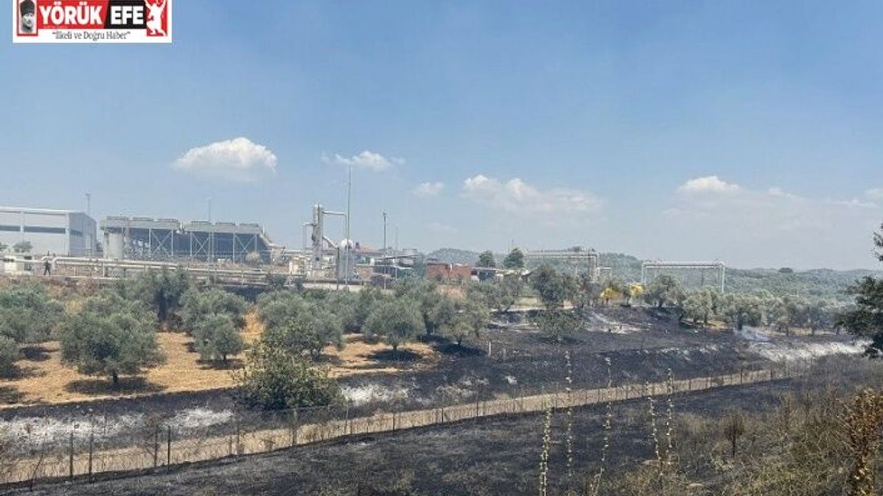 Çift sürülen tarla yangında zarar görmedi