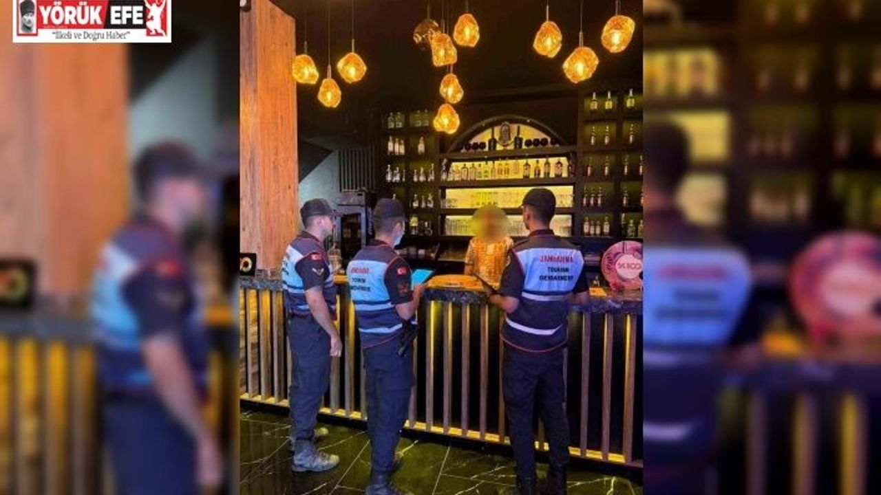 Didim ve Sultanhisar’da 404 şahıs, 101 araç sorgulandı