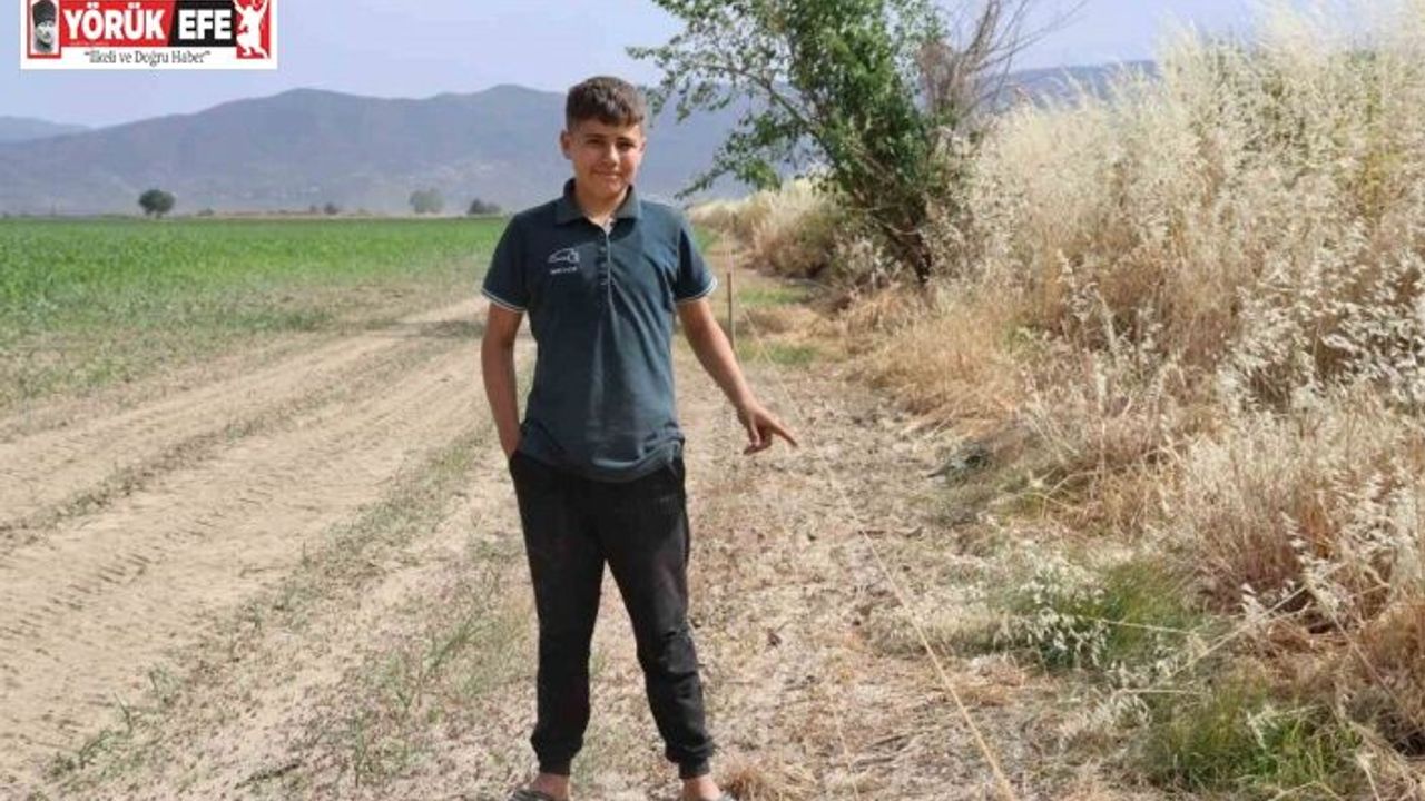 Ege’de domuz sorunu artarak devam ediyor