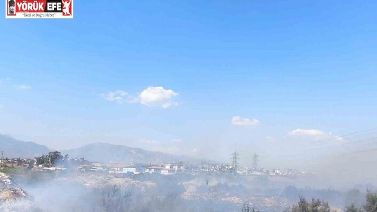 Kanal kenarında çıkan yangın rüzgarla geniş alana yayıldı
