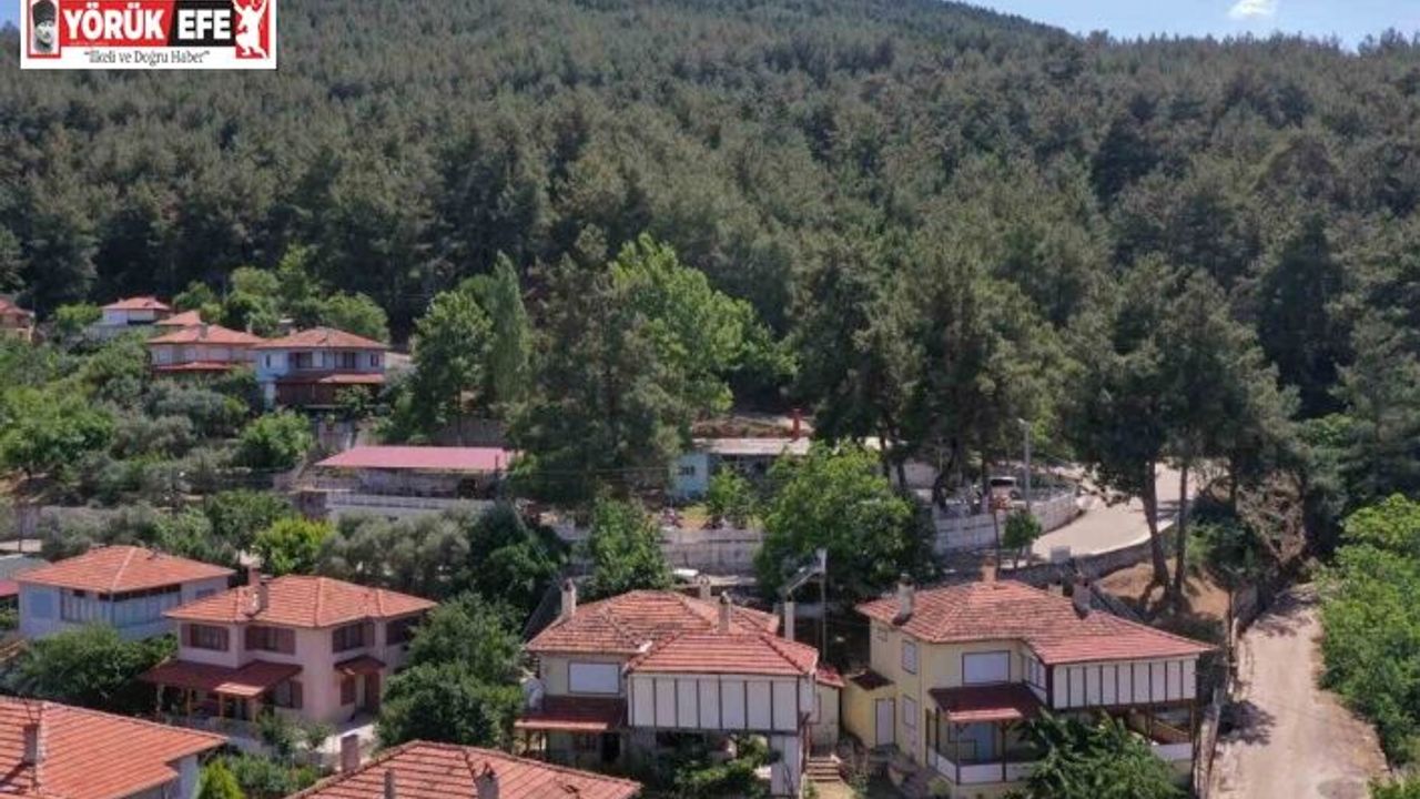 Karacasu Belediyesi’nden yangın uyarısı: "Bir kıvılcım, bir felakete sebep olabilir"