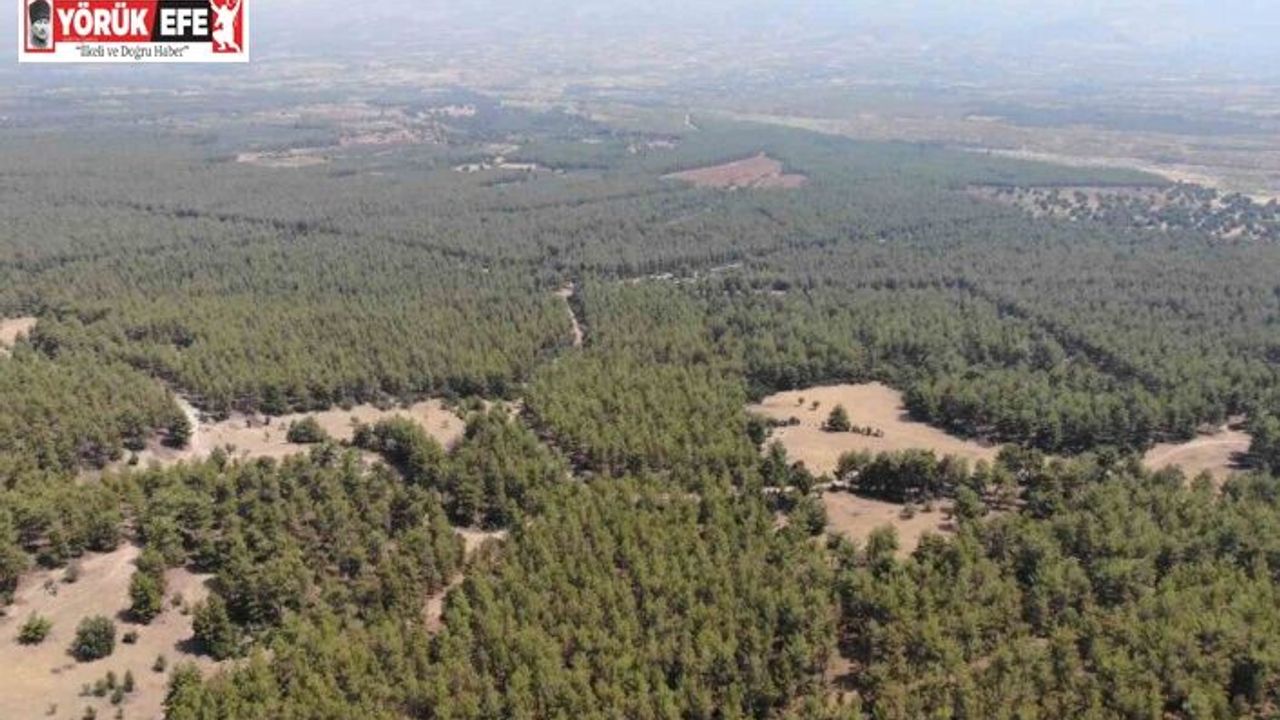 Karacasu Kaymakamlığı’ndan ’Ormana Giriş Yasağı’ hatırlatması