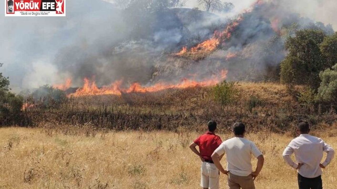 Nazilli’de zirai alanda çıkan yangın kontrol altına alındı