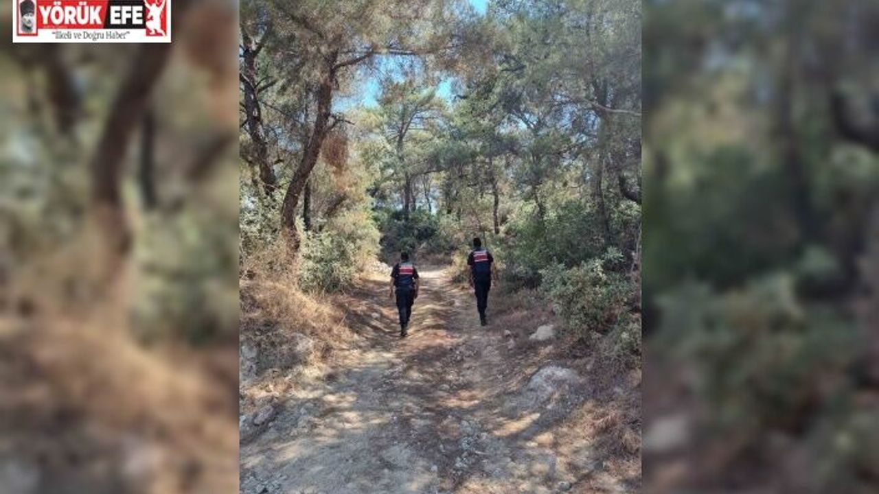 Ormanlar hem karadan hem havadan korunuyor