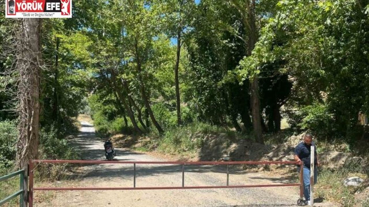 Yangınlara karşı ormanı demir kapı ile kapattılar